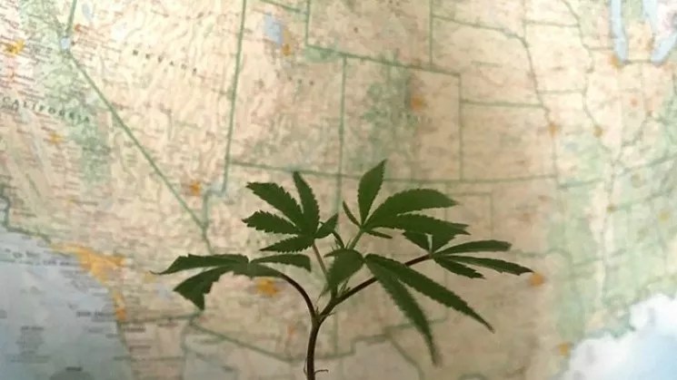 Reader: Maybe the Pot-Smoking Transplants Will Leave Colorado