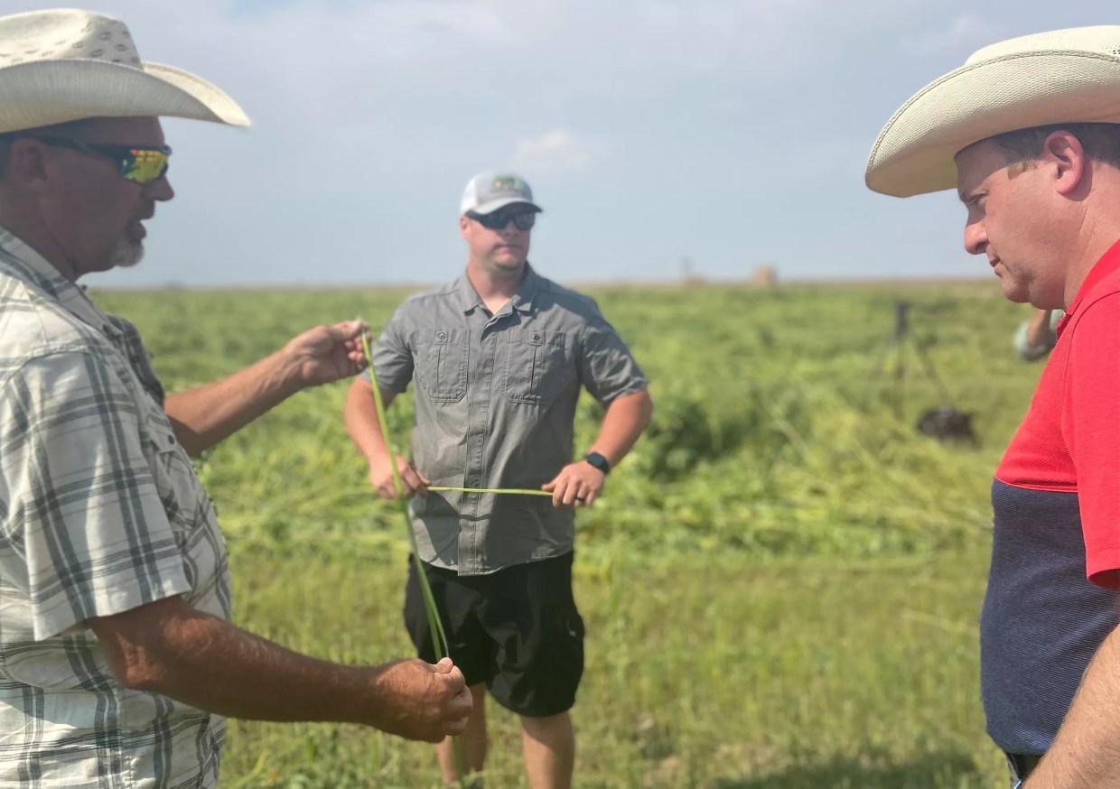 Colorado, USDA Finally Agree on State Hemp Plan