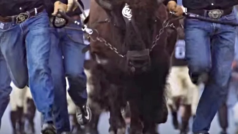 CU Boulder Lawsuit Tries to Lift the Veil on Sports Deals Worth Millions