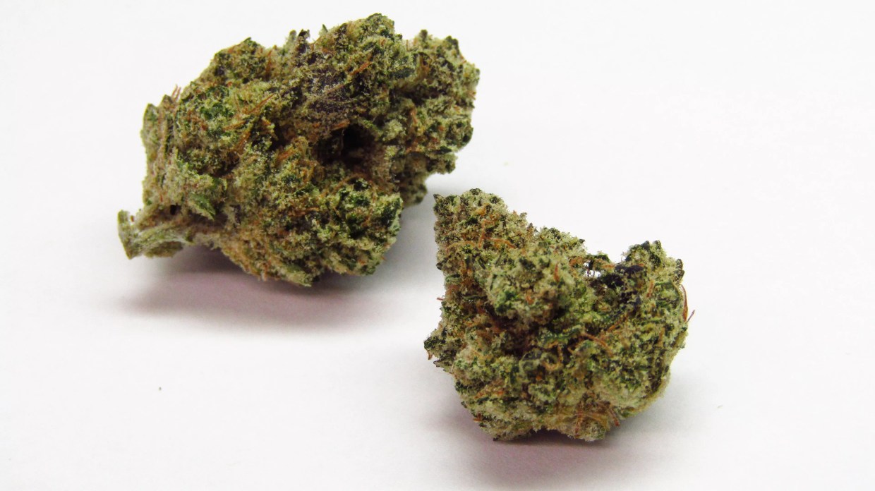 Why Colorado Tokers Love Blue City Diesel