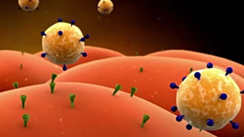 Should Coloradans Be Freaked About Rising COVID-19 Variants?