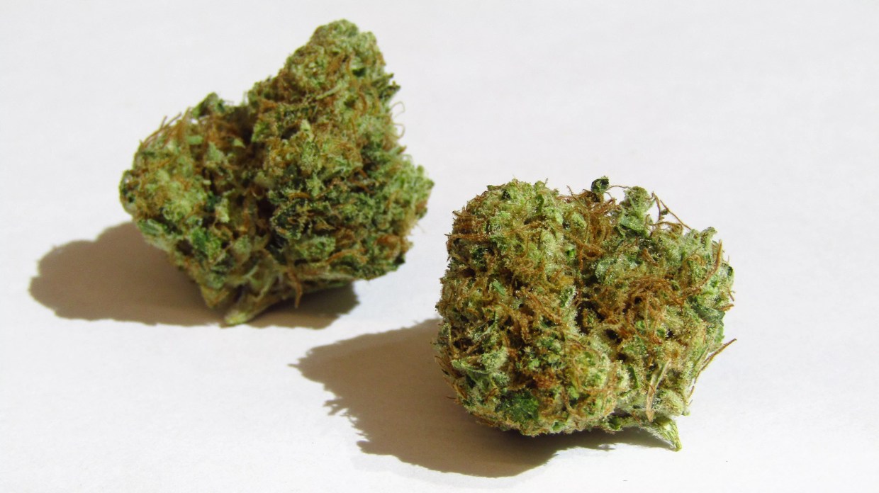 Why Colorado Tokers Love Chem #4