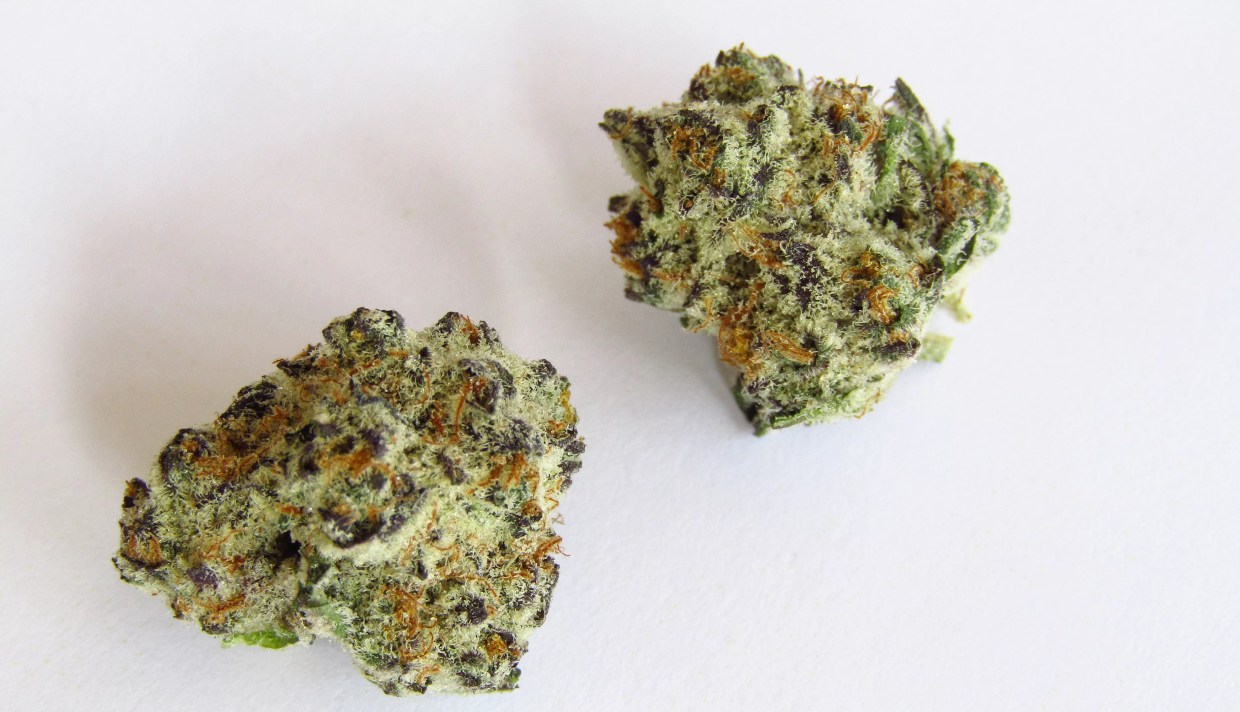 Why Colorado Tokers Love Oreoz