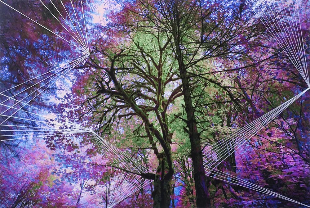 Art Attack: Seventeen Ways to See Great Art in Denver