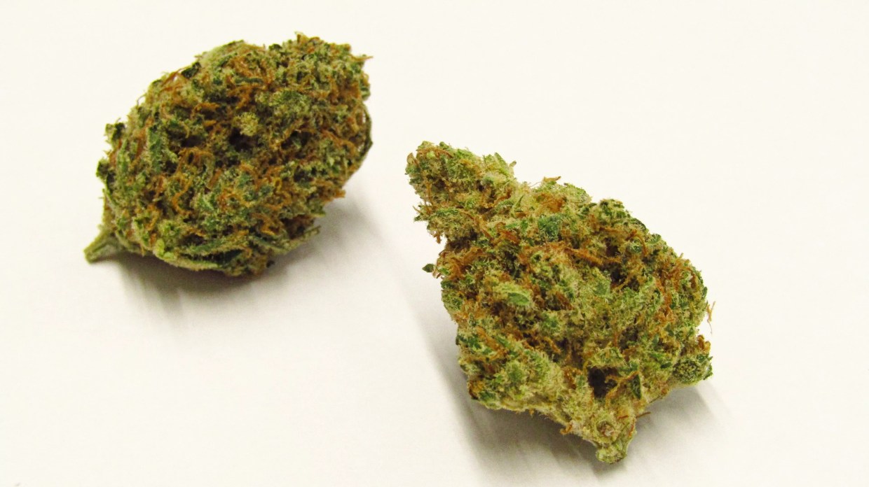 Why Colorado Tokers Love Mr. Clean