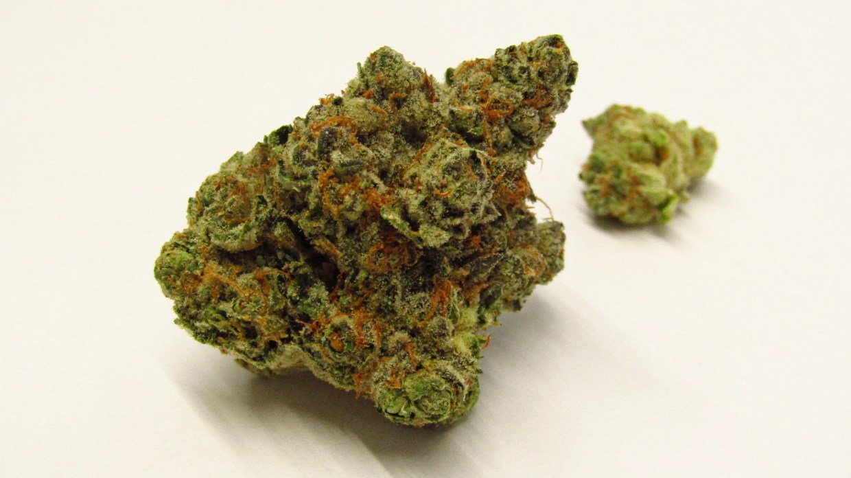Why Colorado Tokers Love Wedding Crasher