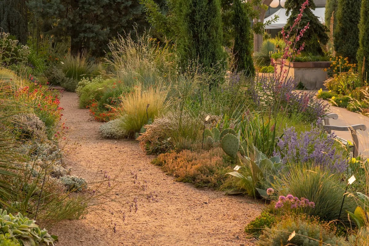 Denver Water Invented Xeriscaping. Now It Wants People to Adopt “ColoradoScaping.”