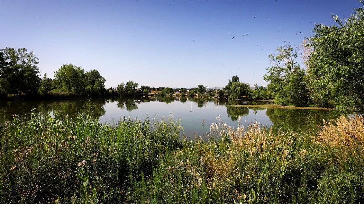 A lake surrounded by greenery.