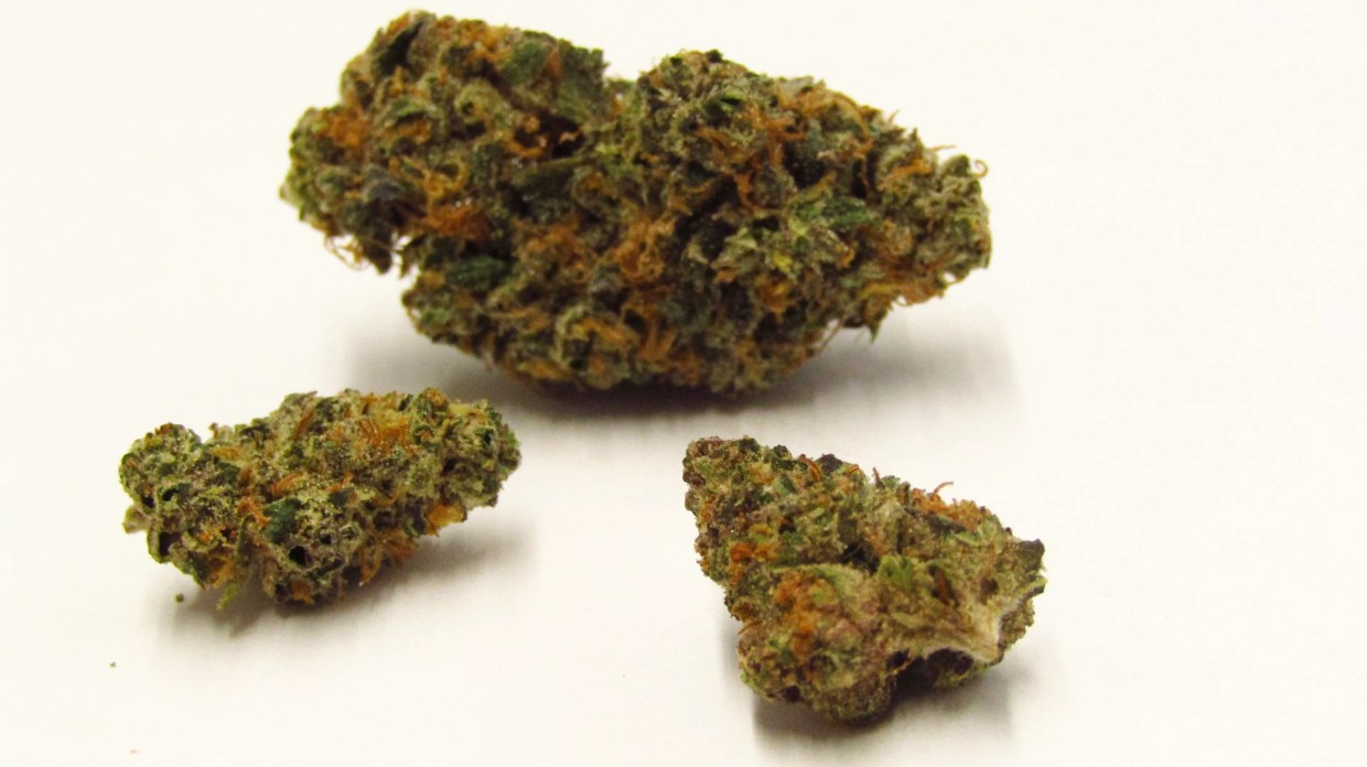 Why Colorado Tokers Love Conspiracy Kush