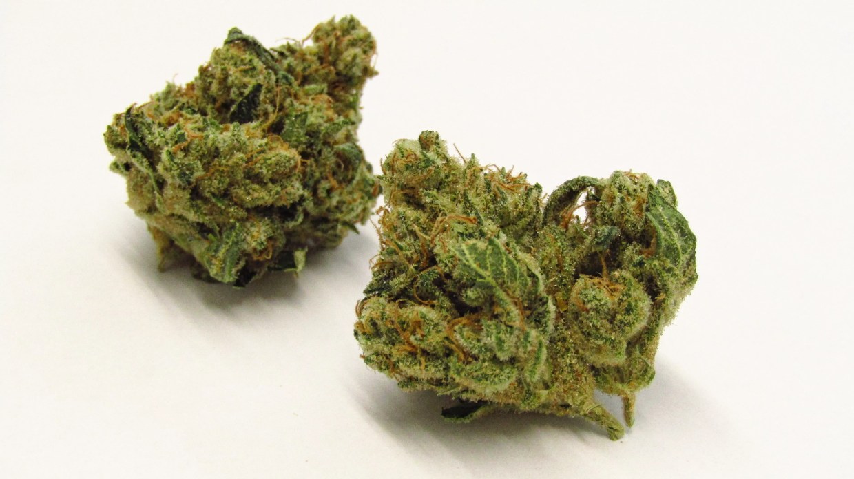 Why Colorado Tokers Love Chem Squeezy