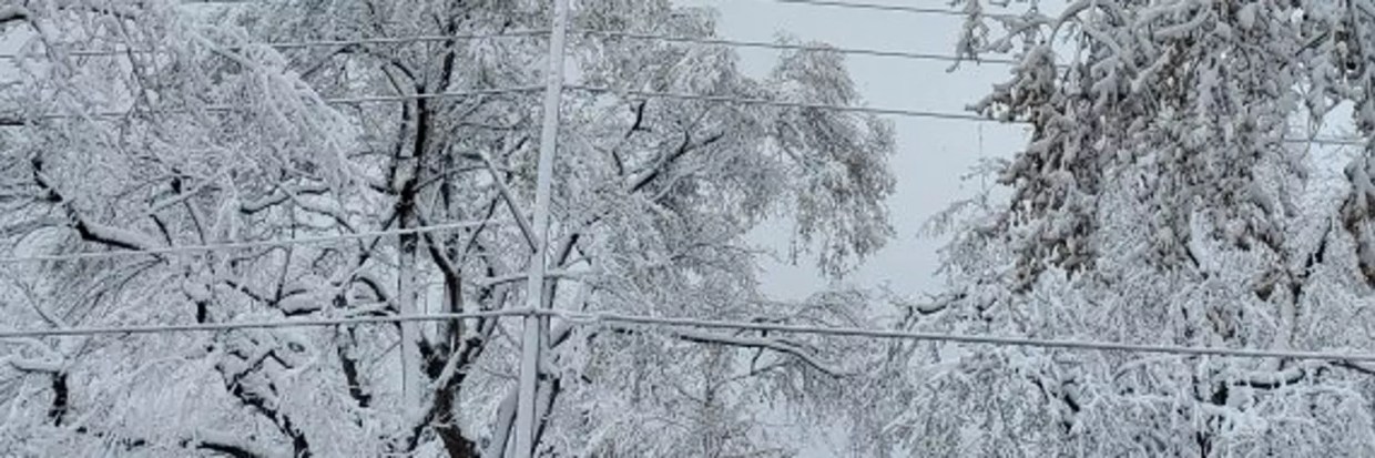 The Hilarious Sadness of Denver Snow on Twitter