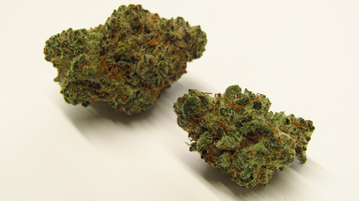 Why Colorado Tokers Love Mai Tai