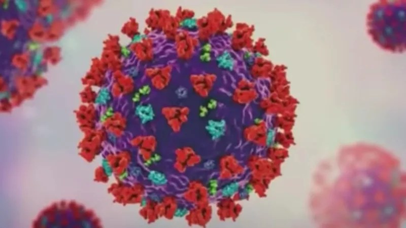 Is Colorado Seeing Omicron Variant’s Last Gasp?