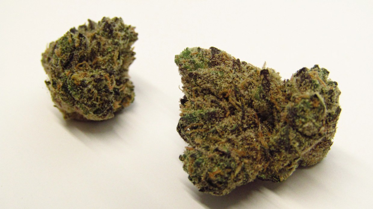 Why Colorado Tokers Love Funyunz