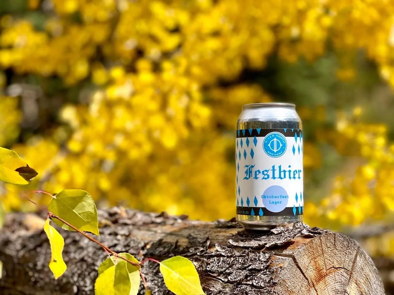 a can of beer on a log in front of trees with yellow leaves