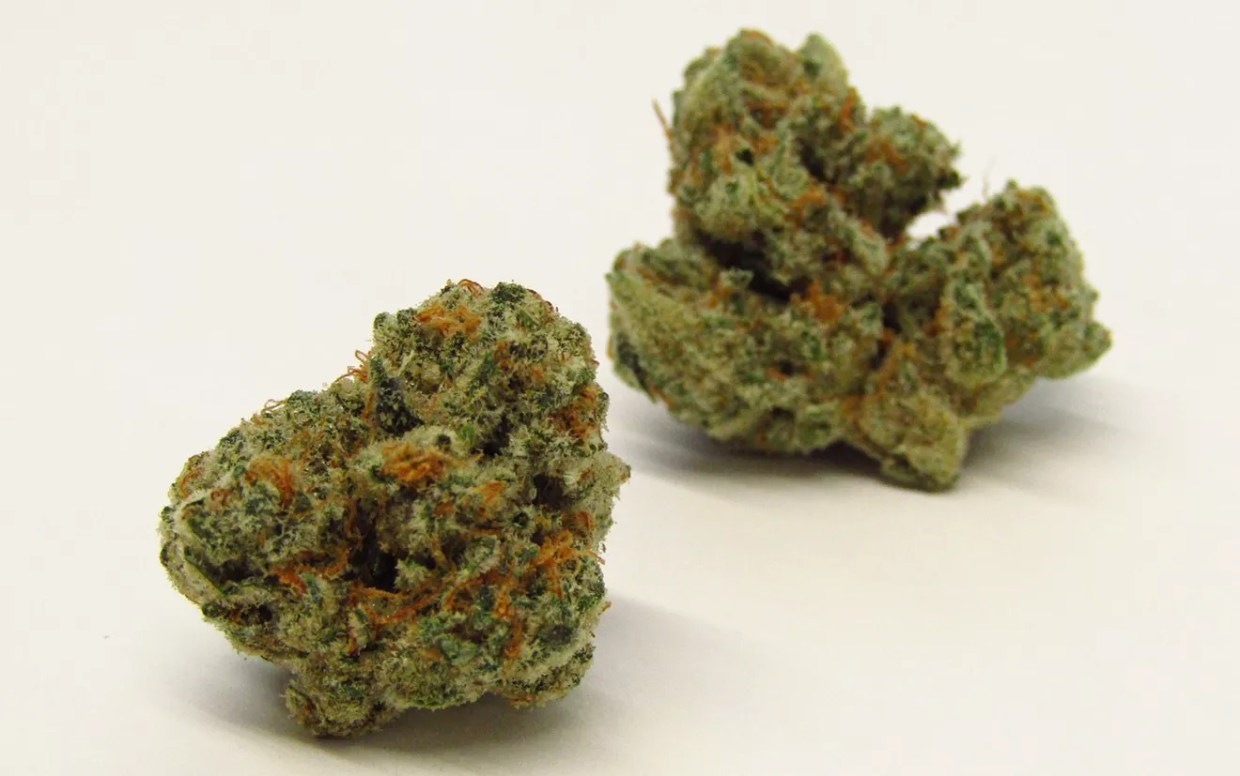 Colorado’s Best Cannabis Strains of 2022