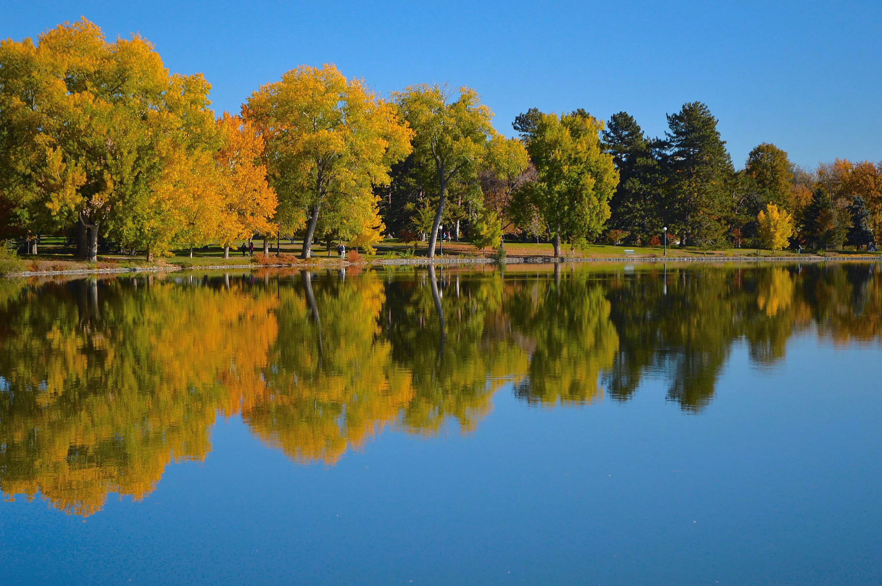 Trees in variations of orange and green sit atop a clear, still pond.