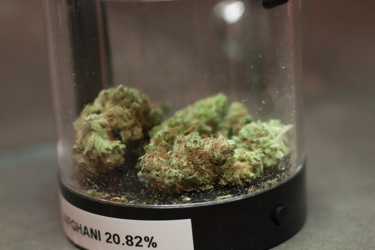 Colorado Considering Expiration Dates for Retail Marijuana