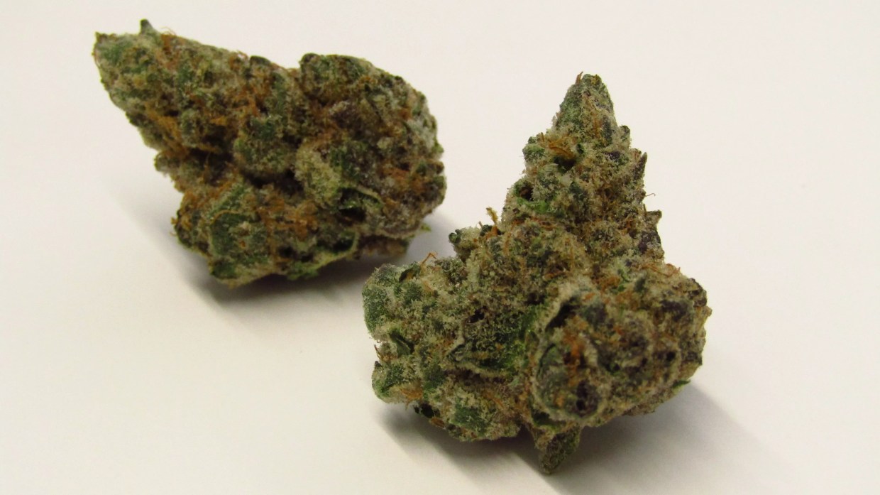 Why Colorado Tokers Love Pakistani Chitral