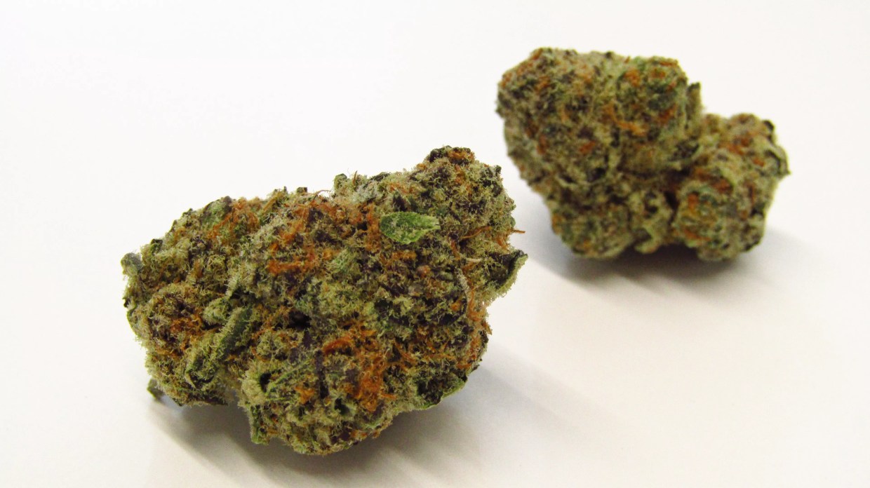 Why Colorado Tokers Love Zero Gravity