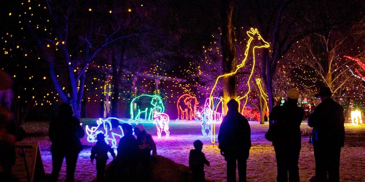 lights at zoo