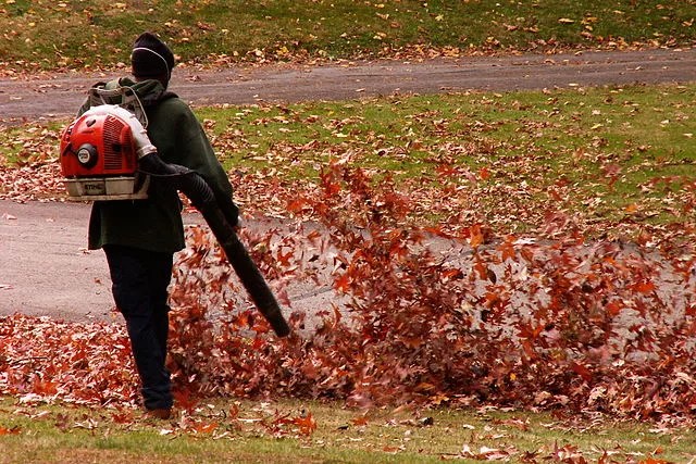 Landscaper using a leaf blower to disturb fall leaves