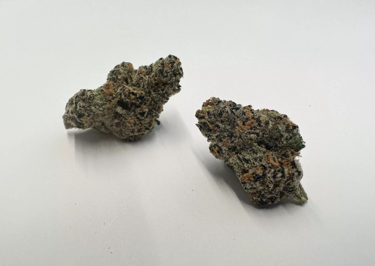 Why Colorado Tokers Love Sherbacio