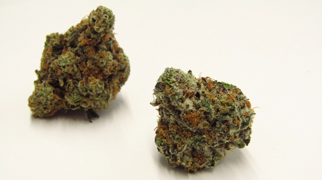 Why Colorado Tokers Love Pink Animal Mints