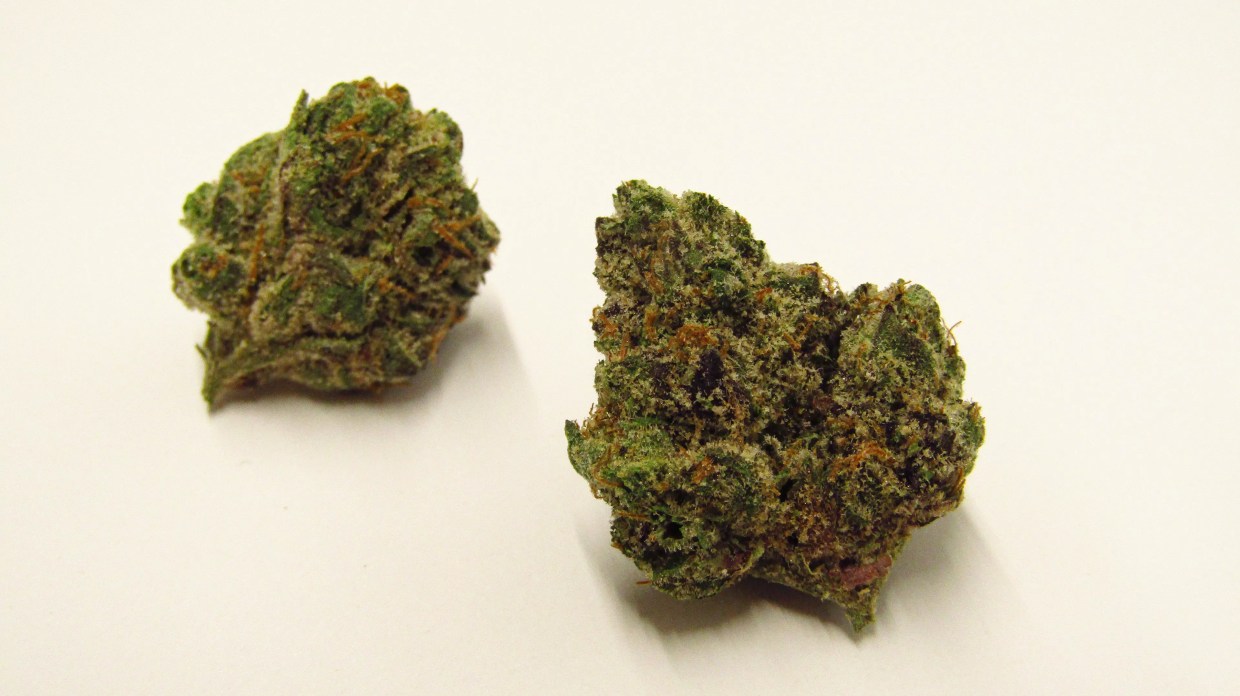 Bubonic Chronic by Snaxland