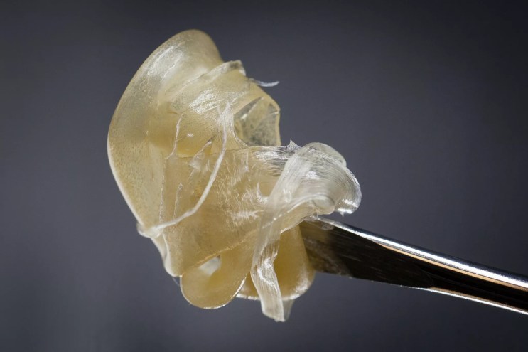 Fresh-pressed hash rosin from cannabis flower