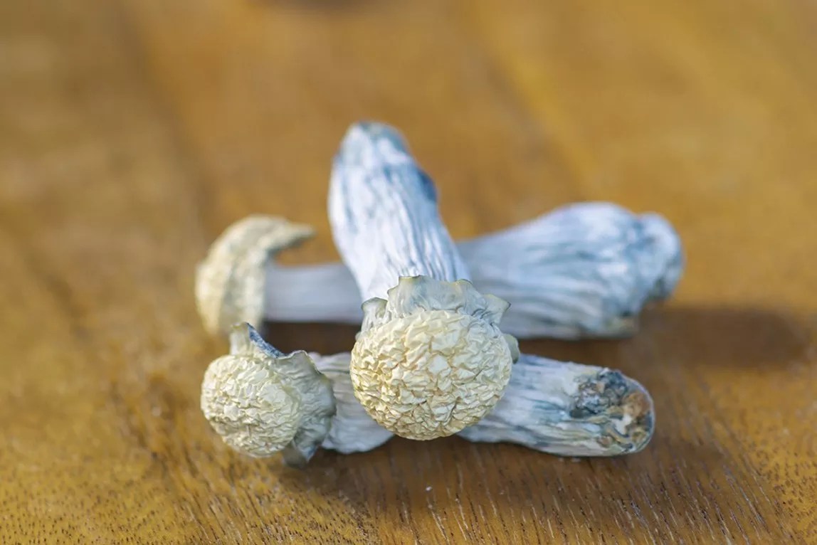 Magic mushrooms have been decriminalized in Colorado.