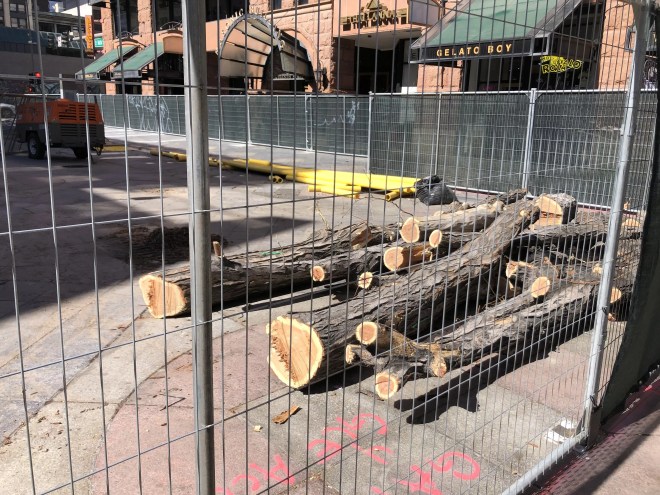 Wood from an old 16th Street locust tree.