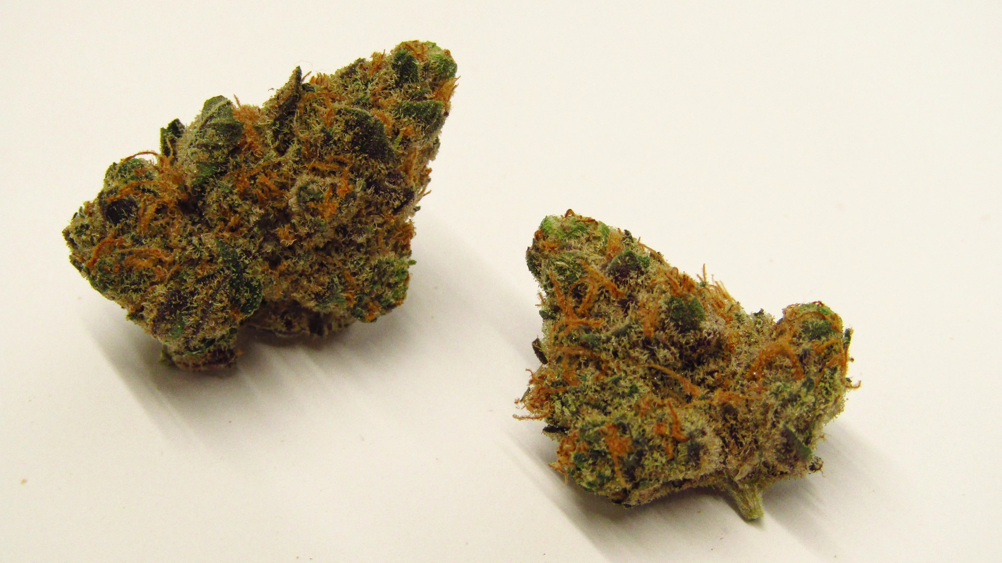 Jelly Pancakes cannabis strain