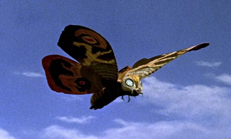 mothra