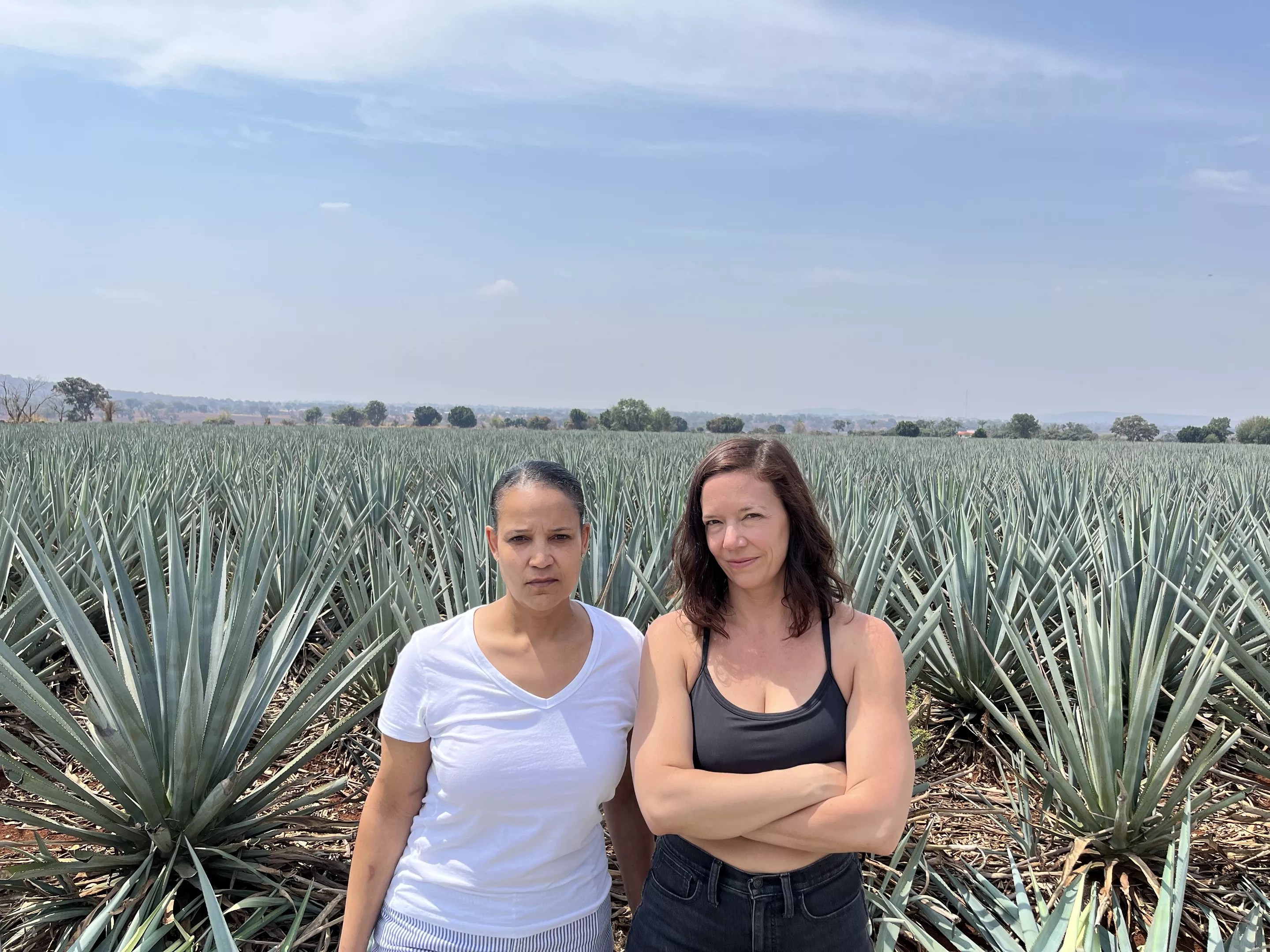 Two women standing in front of a field of agave plants.