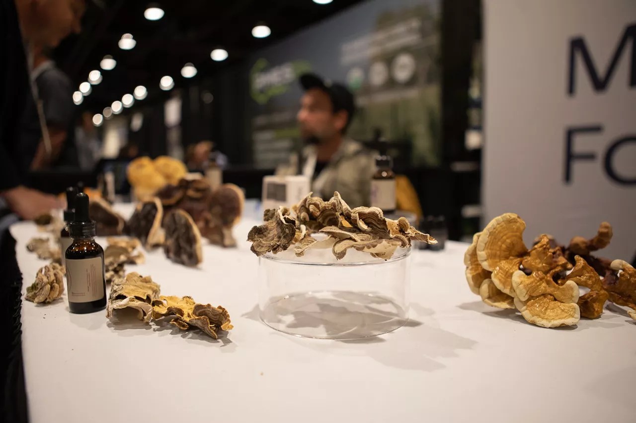 Mushrooms on display at the 2023 NoCo Hemp Epxo