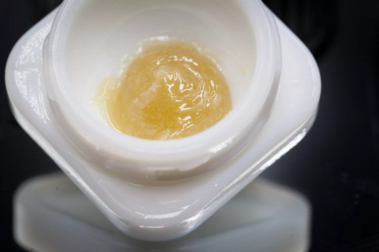 A gram of fresh hash rosin