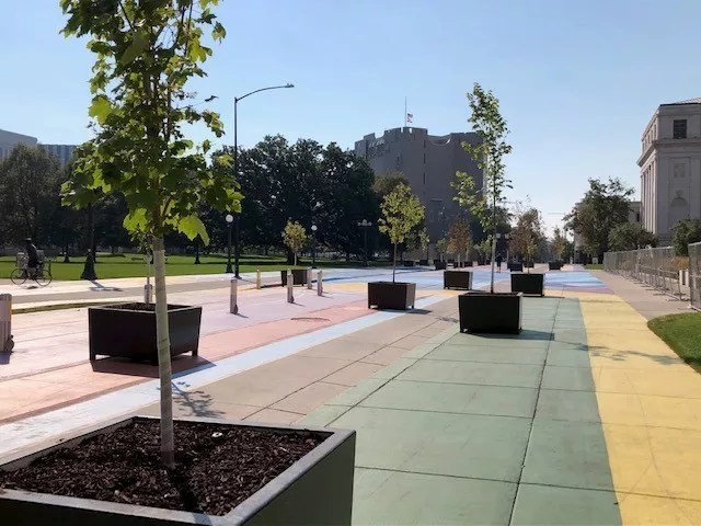 The trees placed on Bannock Street in 2020.