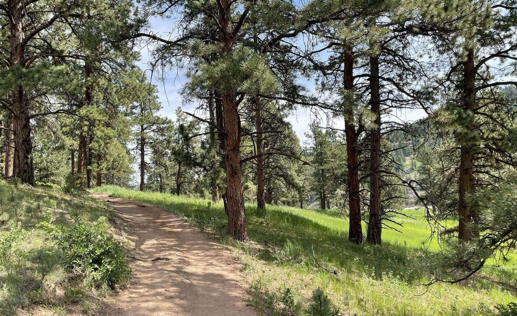 A hiking trail in Flying J Ranch Park in Conifer, where a serial sexual predator is on the loose.