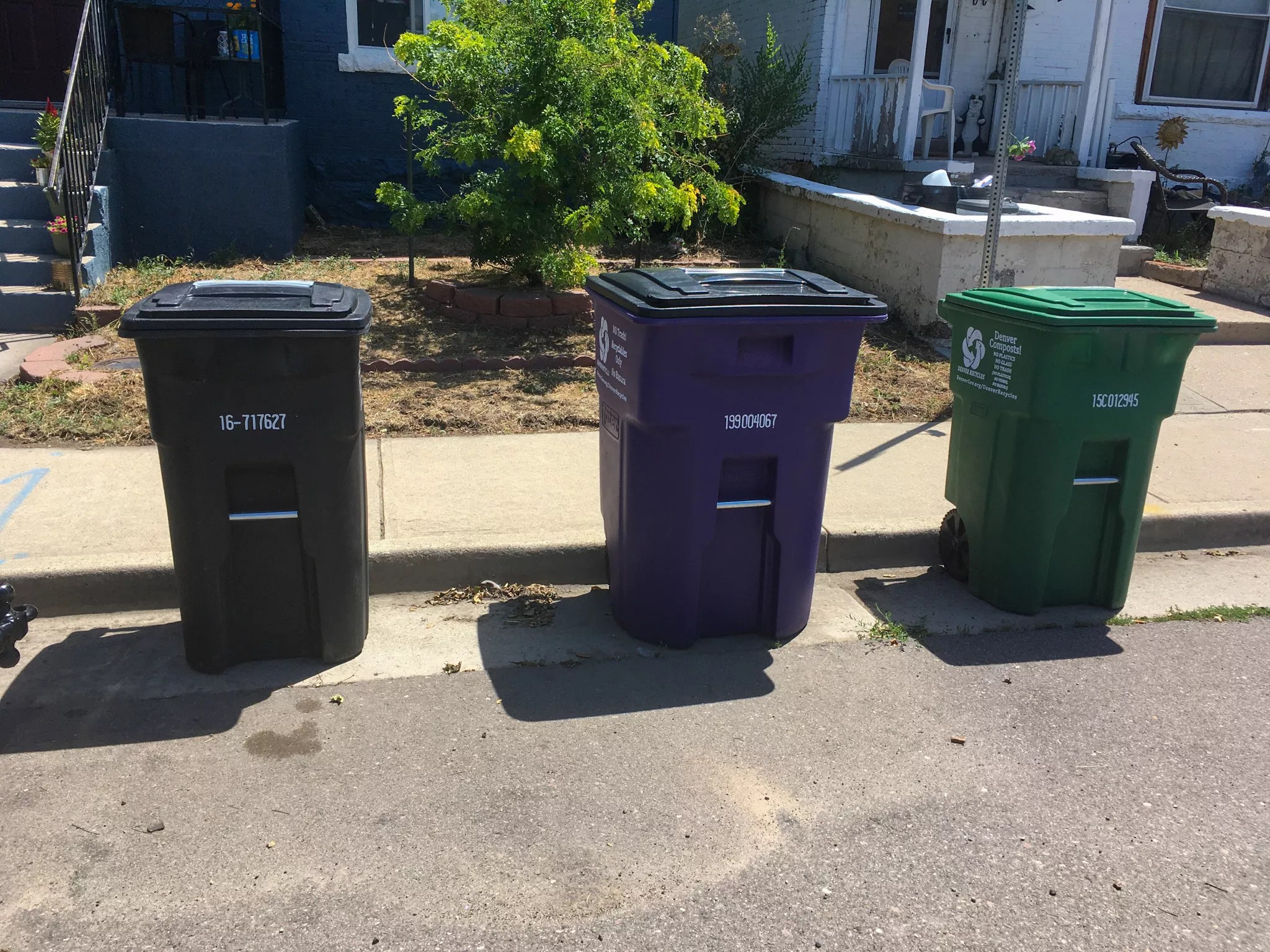 A trio of trash bins — one black, one purple and one green — sit on the curb of a sunny residential street.