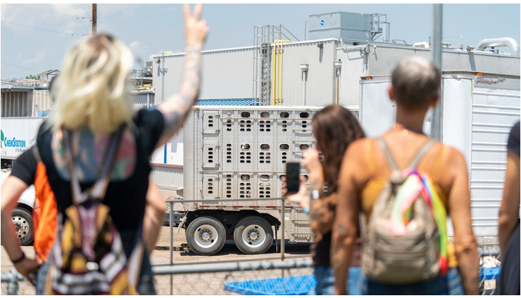 protesters outside denver slaughterhouse