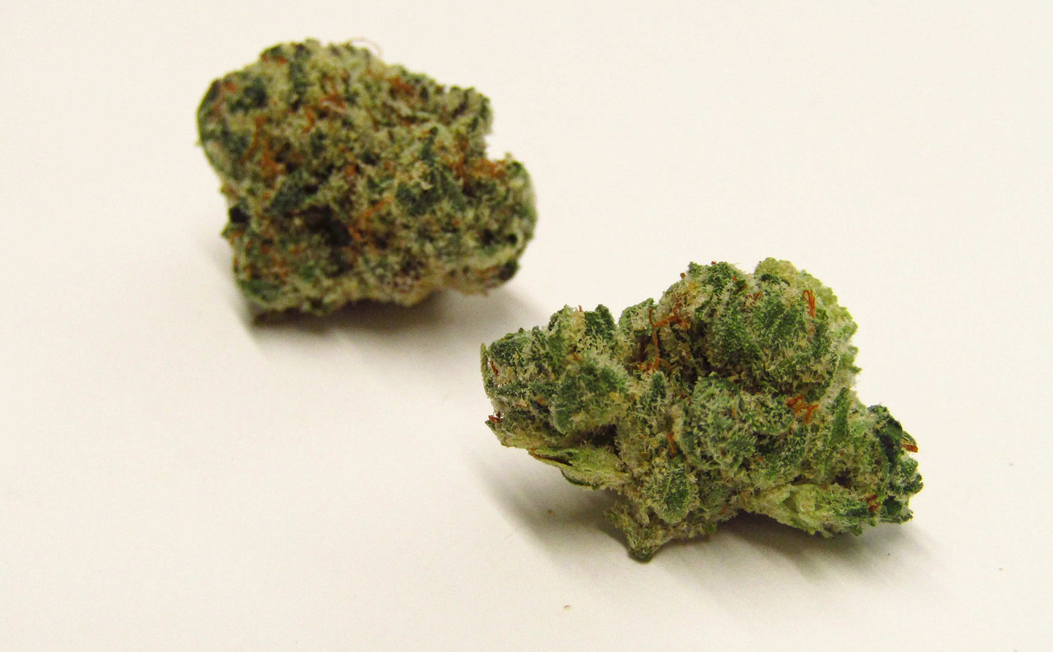 Peach Maraschino cannabis strain