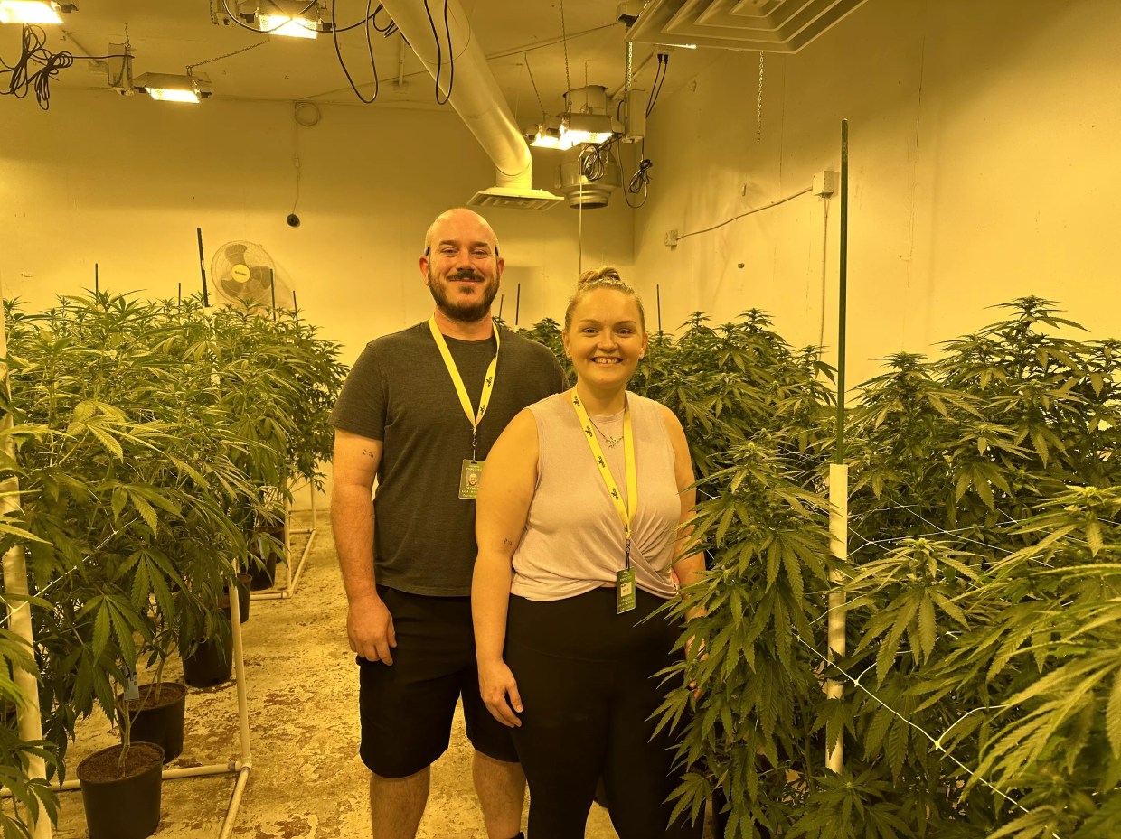 Cannabis growers stand in front of their plants