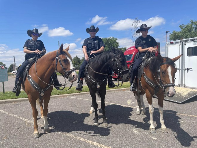Three horses (two brown and one black) stand with police officers on top of them.