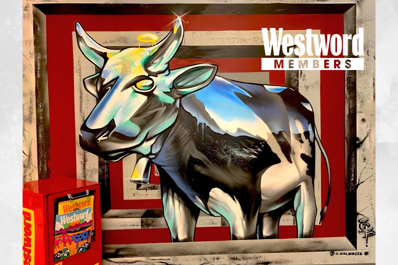 newspaper box and mural of cow