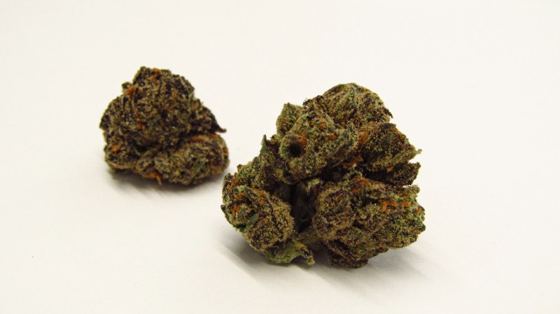 Dark green cannabis buds