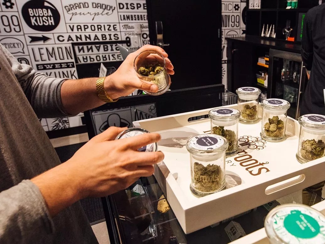 A dispensary customer shops for cannabis flower