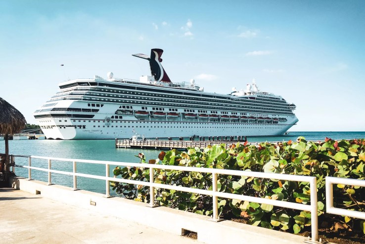 A cruise ship in the ocean docks