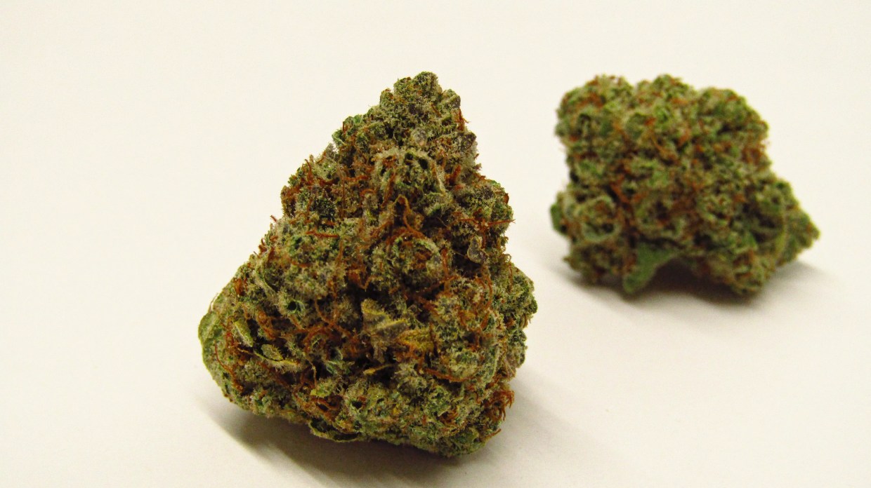 Monkey Berries cannabis buds