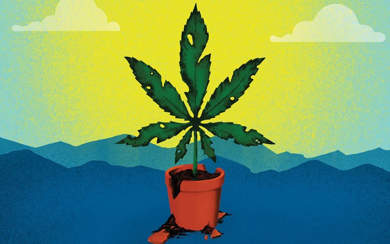 drawing of pot plant in pot